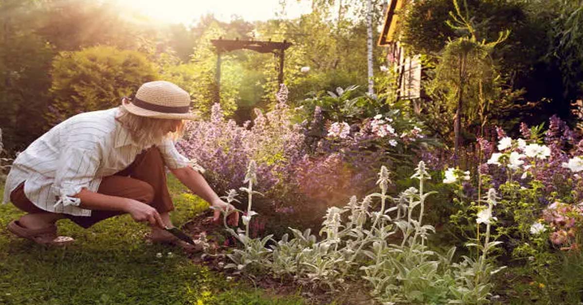 Transform Your Home and Garden With Practical Ideas for Better Living